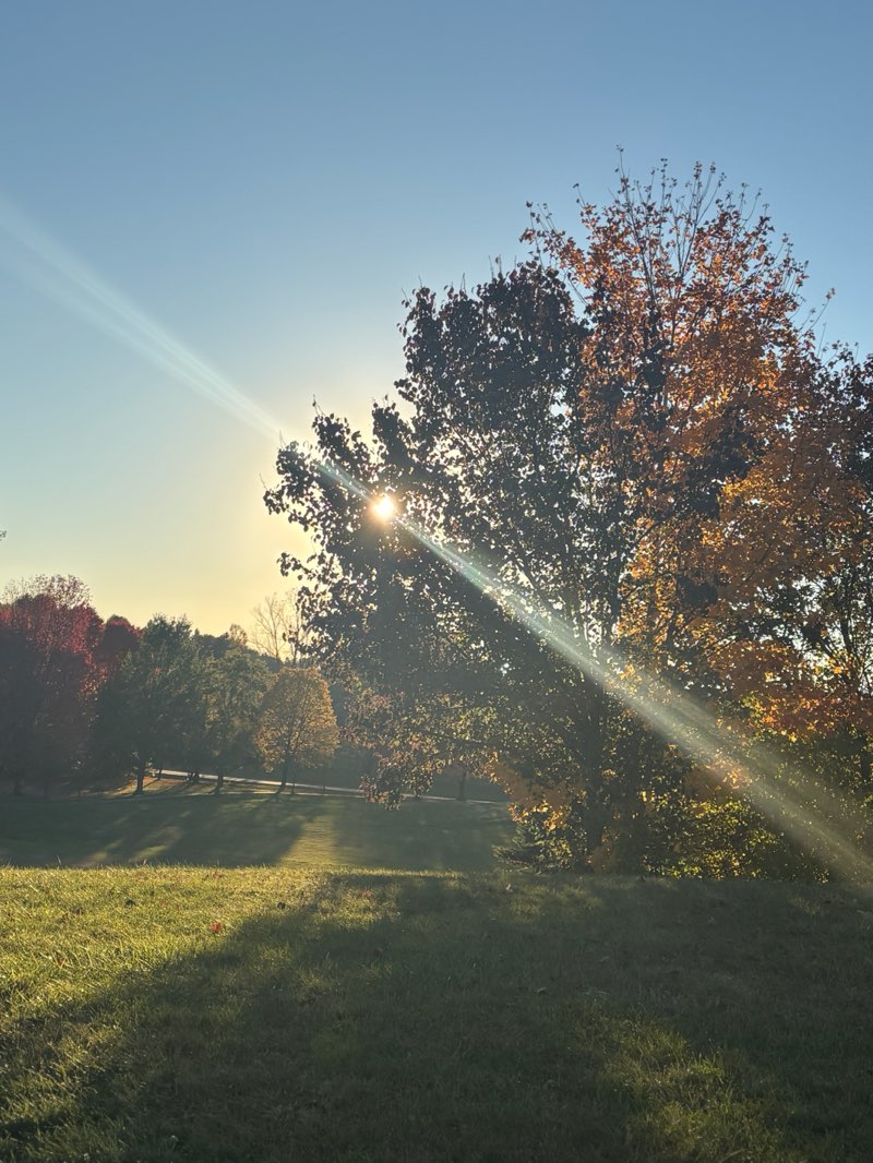 walking near me in Plymouth Township Park in autumn