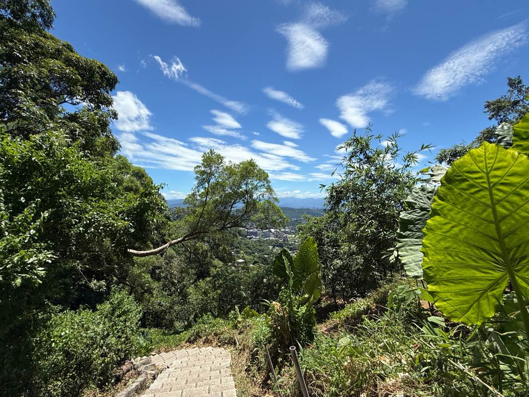 walking near me in 前山公園 in autumn