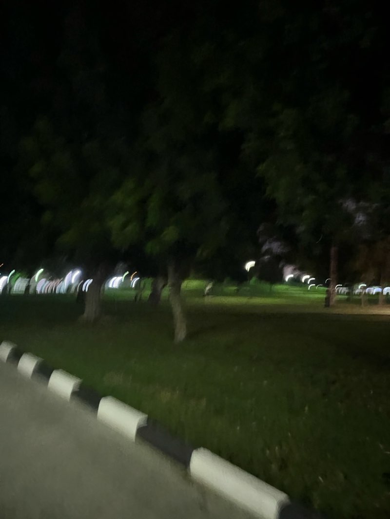 walking near me in Sharjah National Park in winter