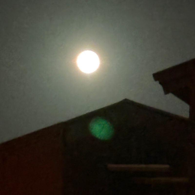 Bacalaos VIP 🇵🇷 Isamarie post image