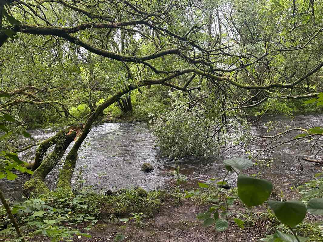 walking near me in Cwmamman Park in summer