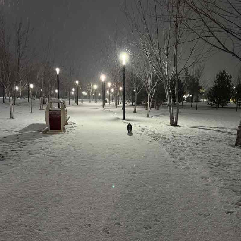 Run Beauty Инна post image