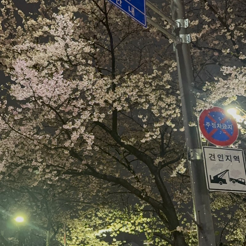 예방안전_이근희 profile