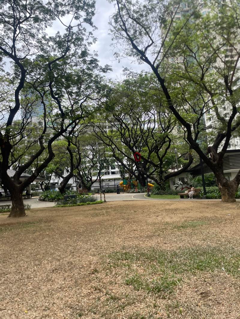 walking near me in Jaime C. Velasquez Park in spring