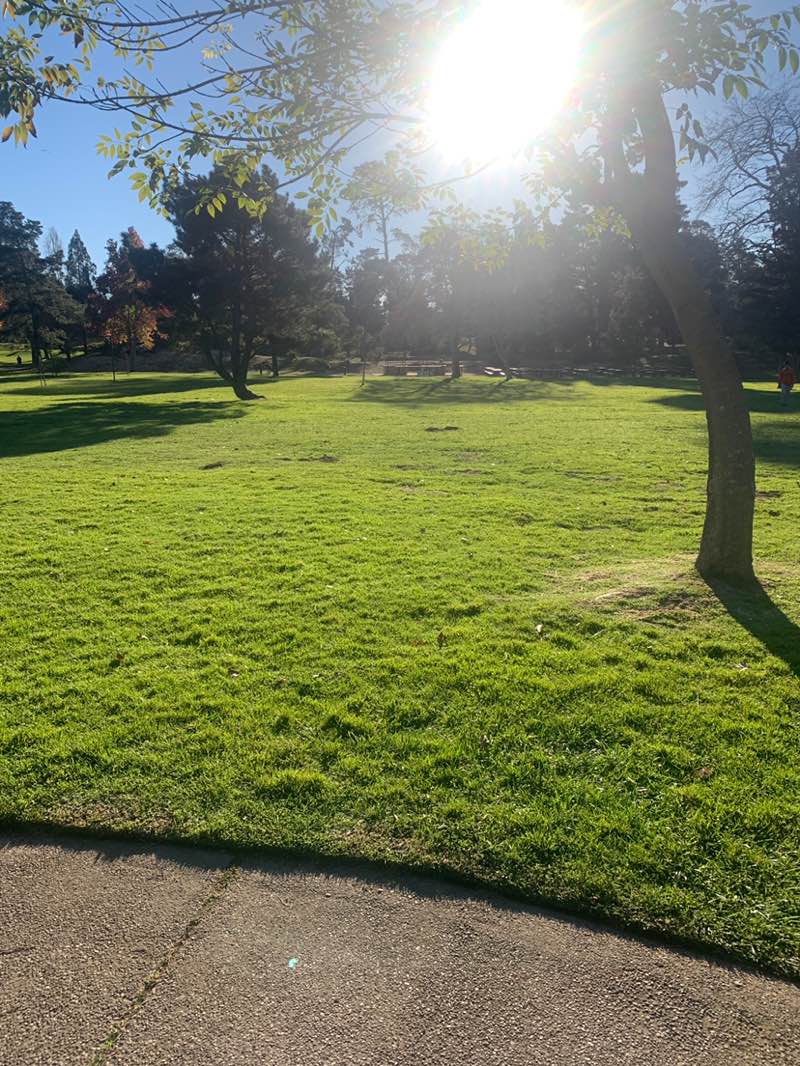 walking near me in Waller Park in winter