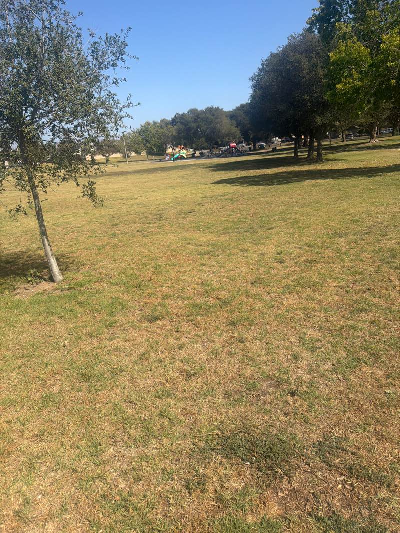 walking near me in Grogan Park in spring