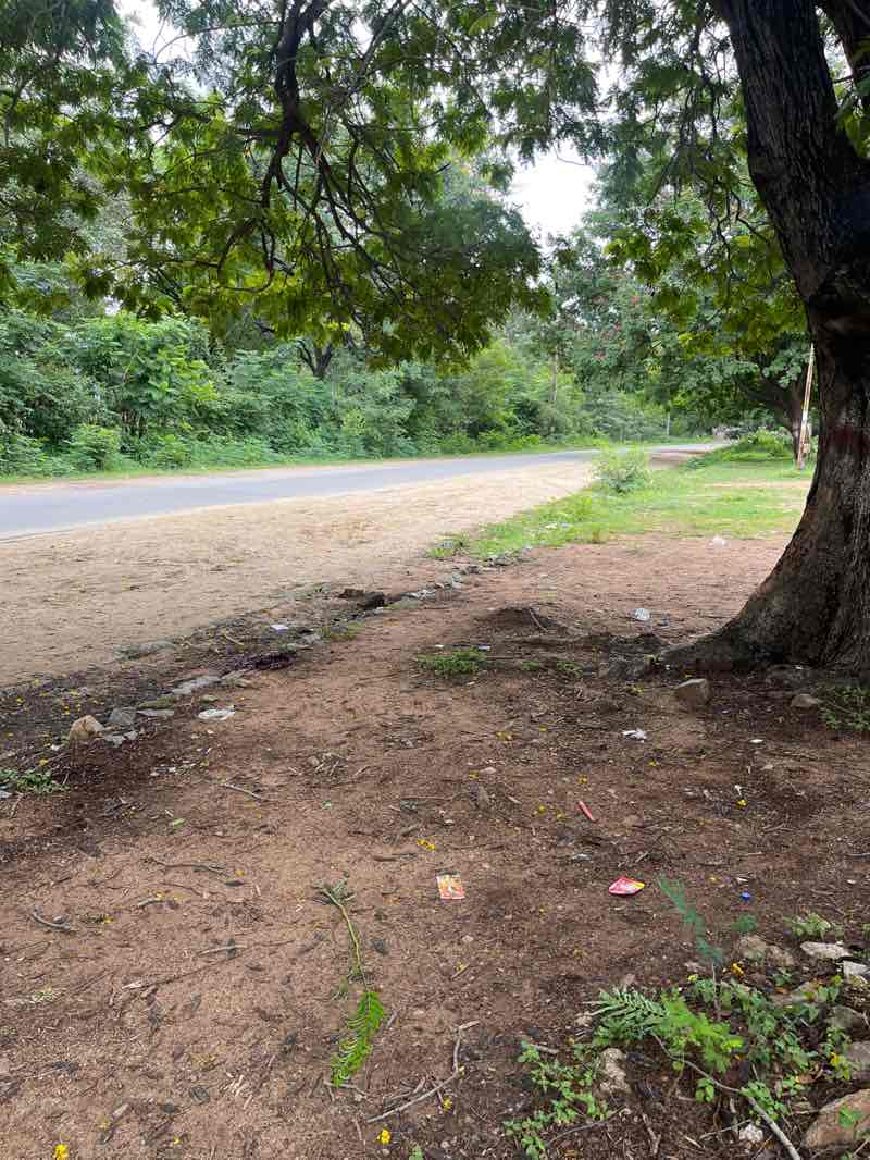 walking near me in BHEL Park in summer