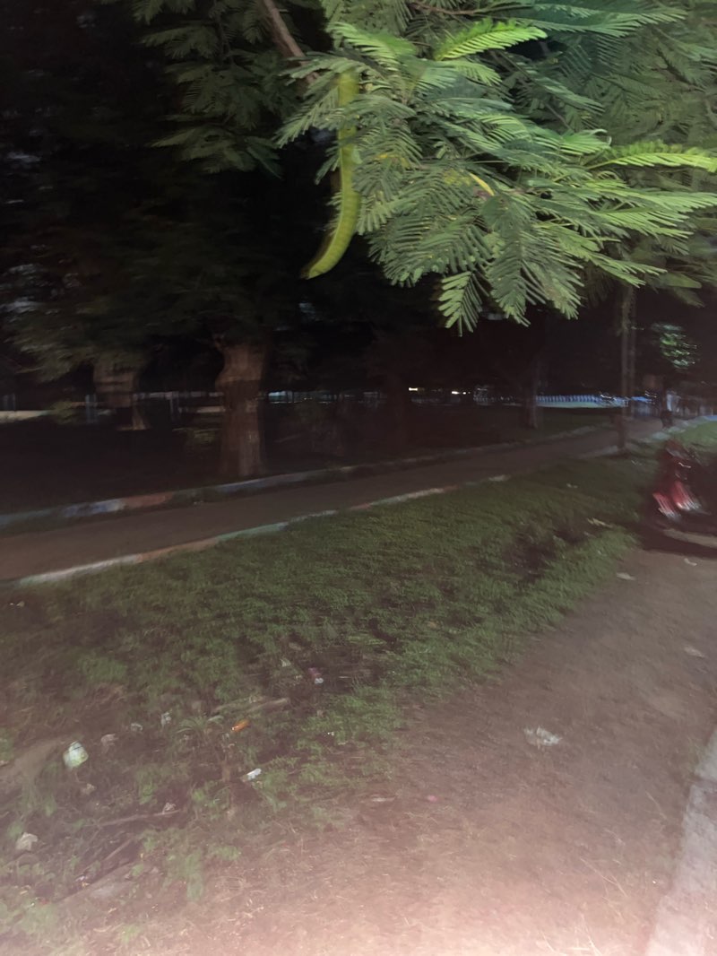 walking near me in BHEL Hockey Court in autumn