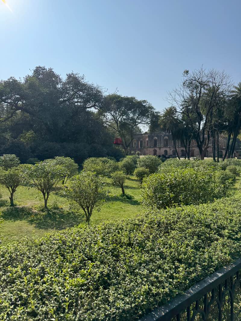 walking near me in Nimbu Park in winter