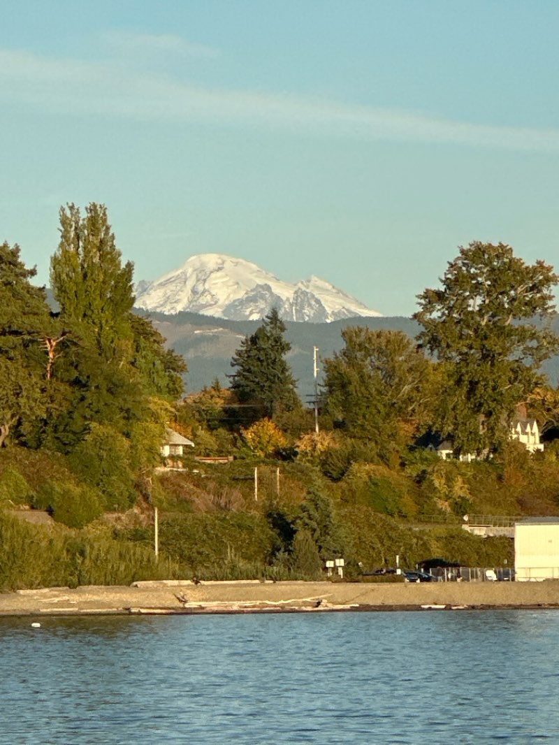 walking near me in Little Squalicum Park in autumn