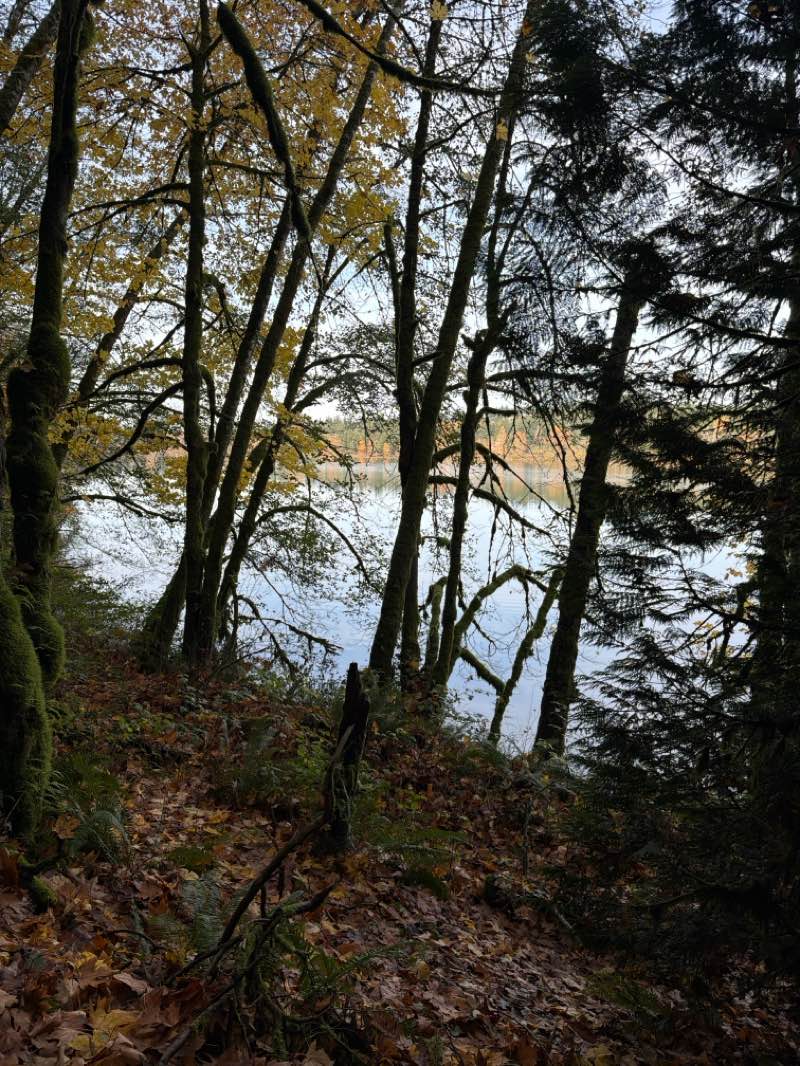 walking near me in Lake Padden Park in autumn