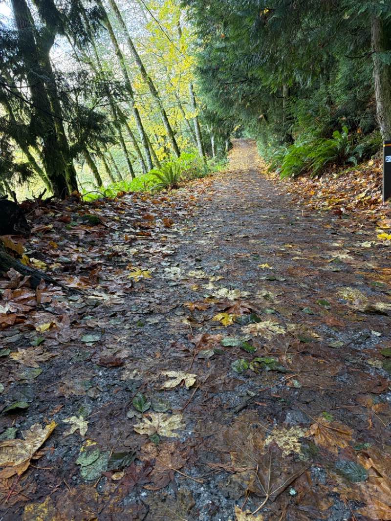 walking near me in Memorial Park in autumn