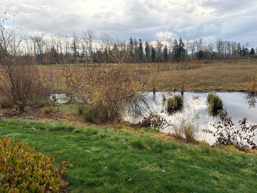 walking near me in Cordata Park in autumn