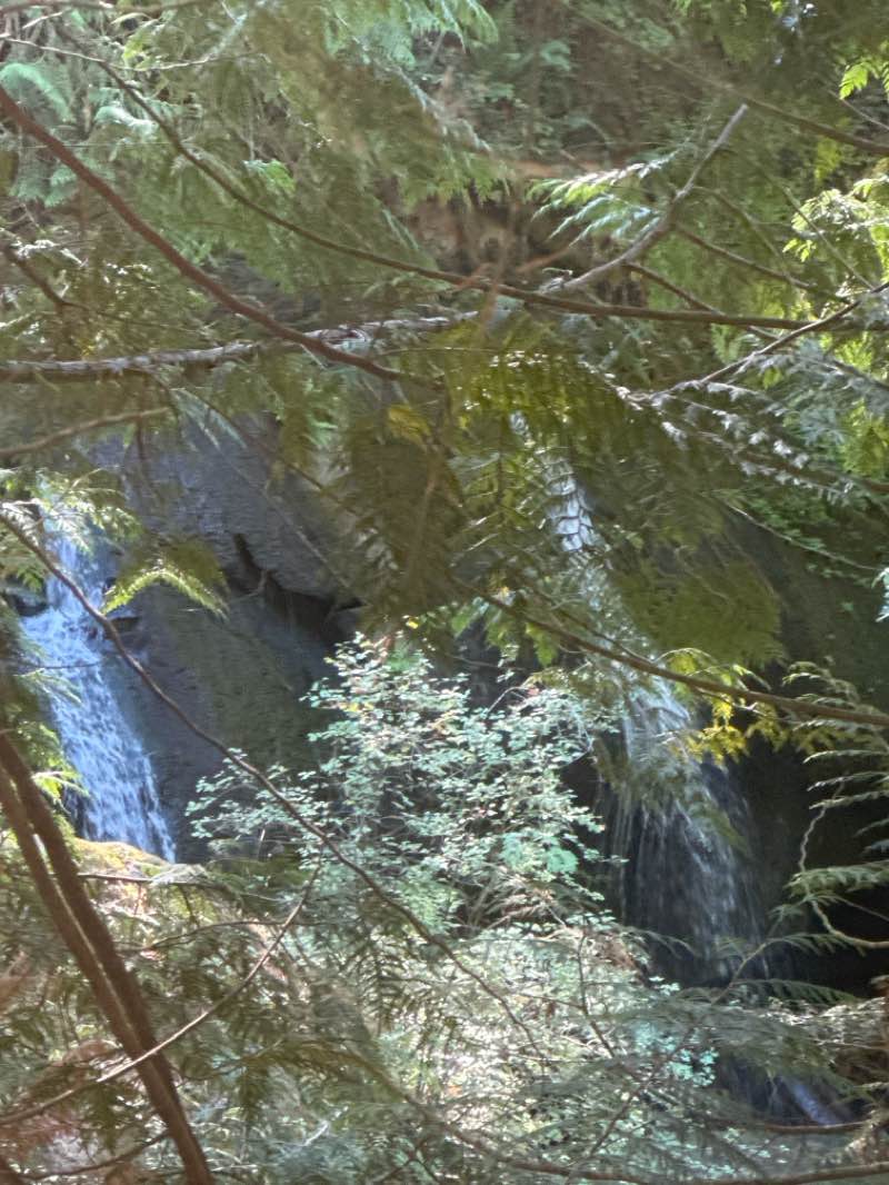walking near me in Whatcom Falls Park in autumn