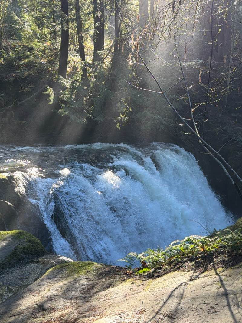 walking near me in Bloedel Donovan Park in winter