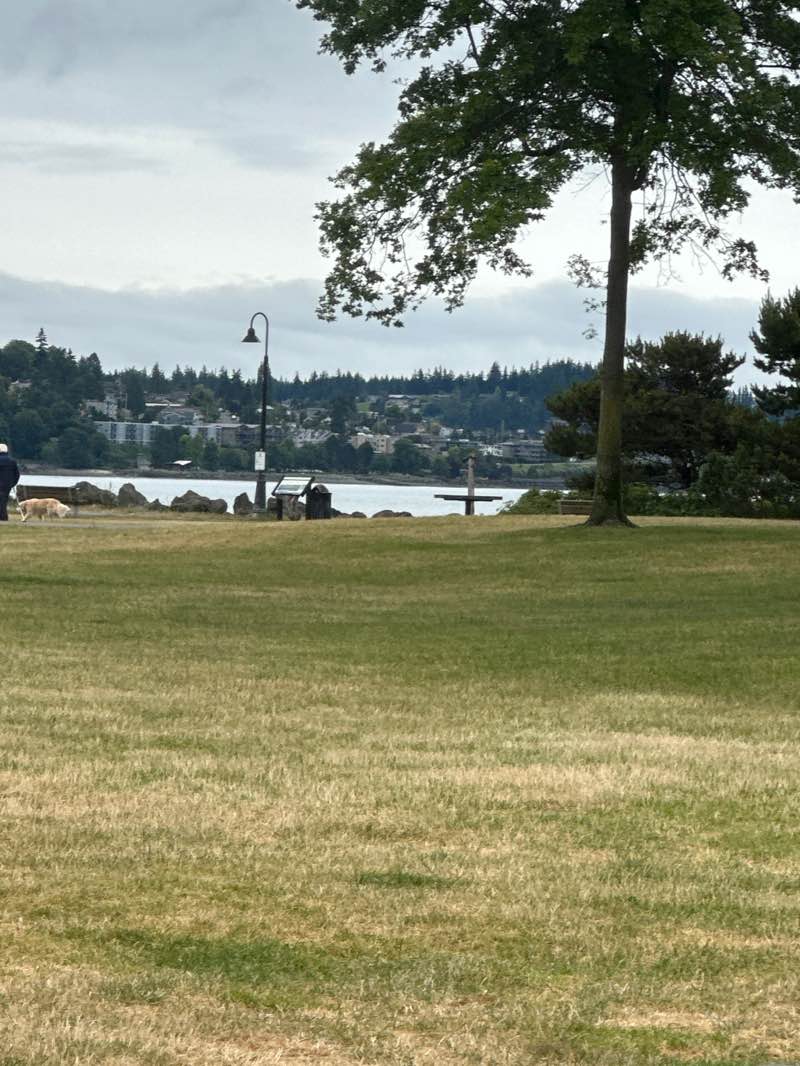 walking near me in Zuanich Park in summer