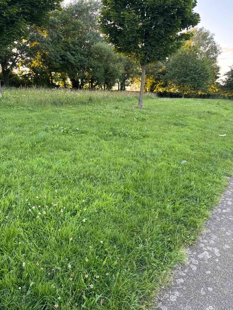 walking near me in Belfast City Hall Grounds in summer