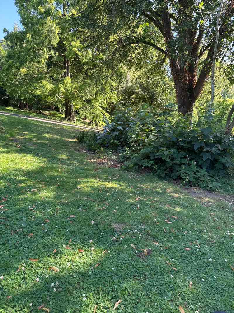 walking near me in Grovelands in summer