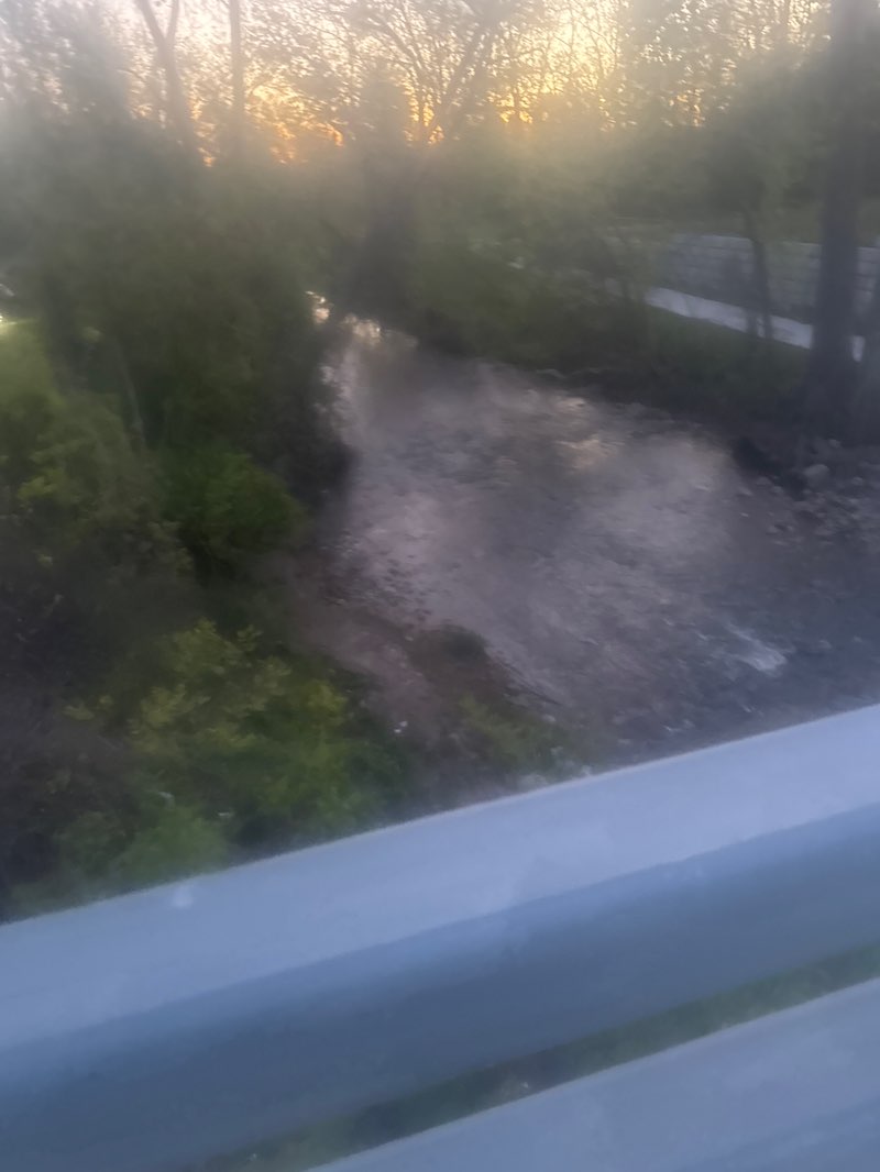 walking near me in Plaster Creek in spring