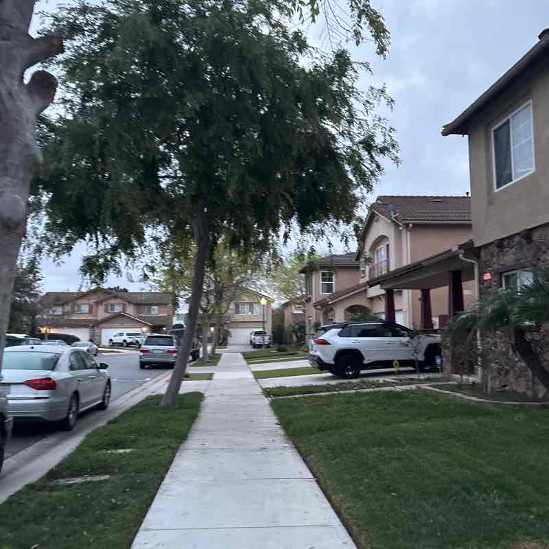 Ramirez Family Step Challenge Bee post image