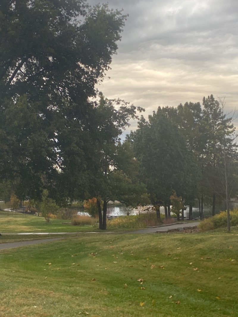 walking near me in Tiemeyer Park in winter