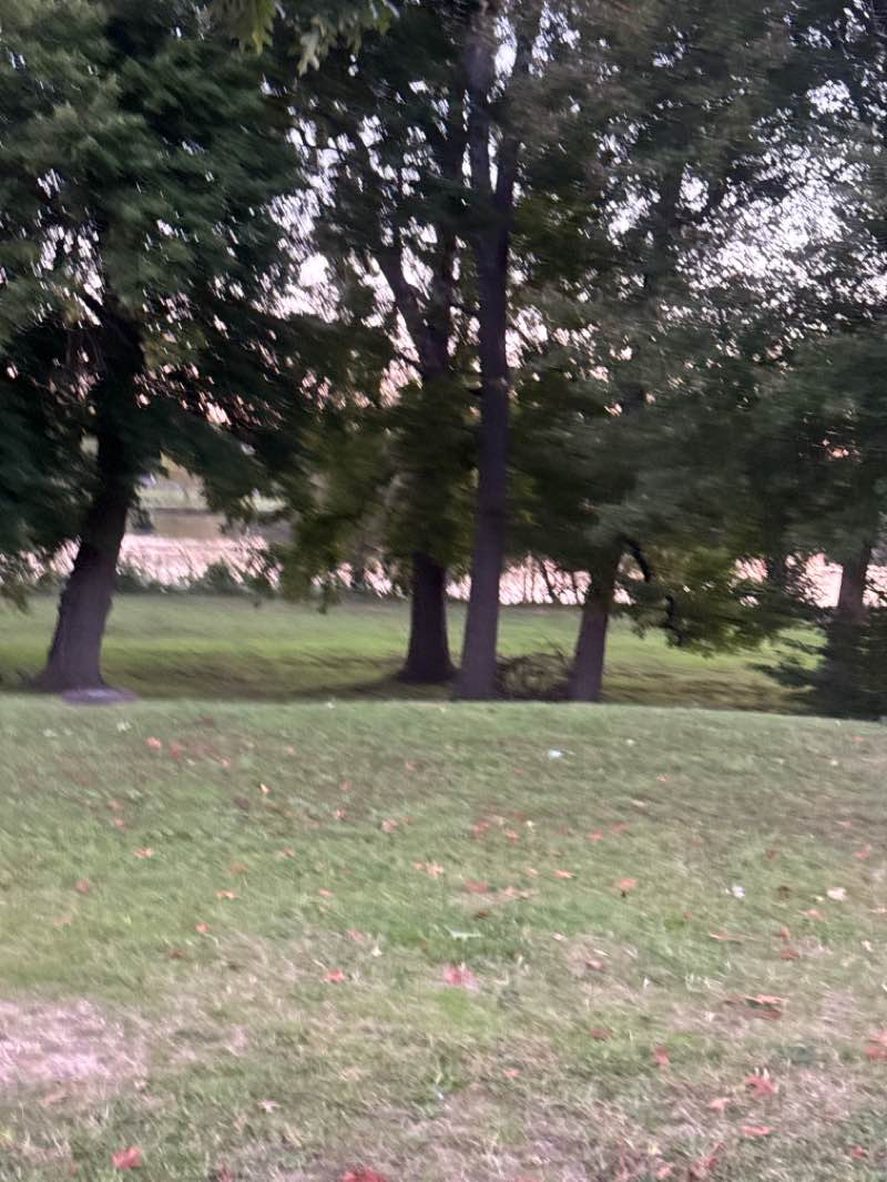 walking near me in Knight Park in autumn