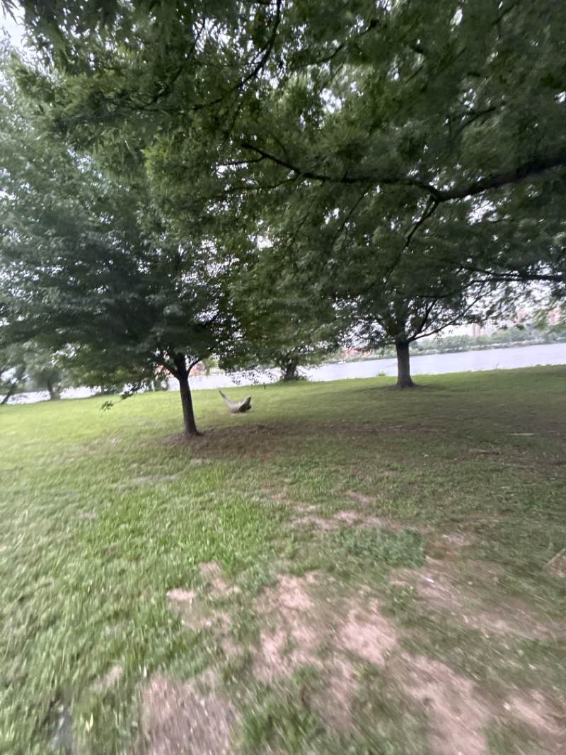 walking near me in Cooper River Park in summer