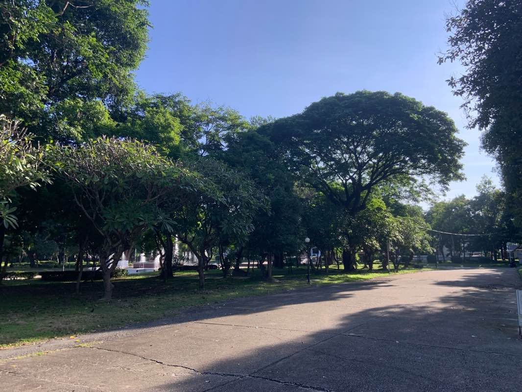 walking near me in Center for the Promotion of Arts and Culture Chiang Mai University in winter