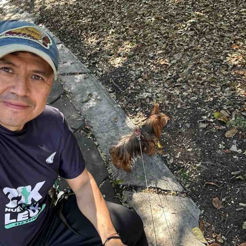 Manuel Helgueros post 2