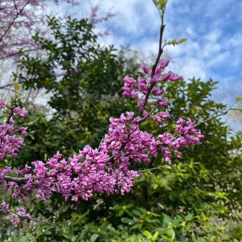 Jessica Barbay post 1