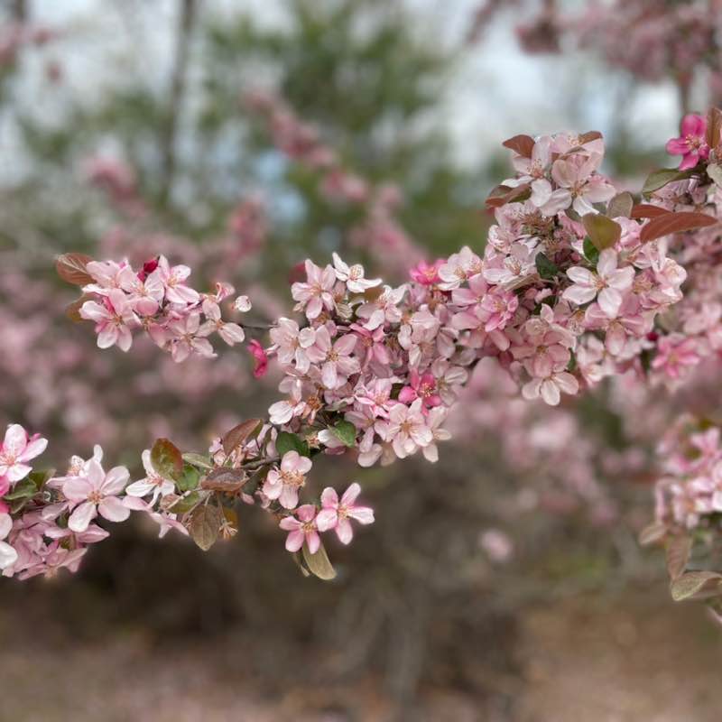 Jessica Barbay post 1