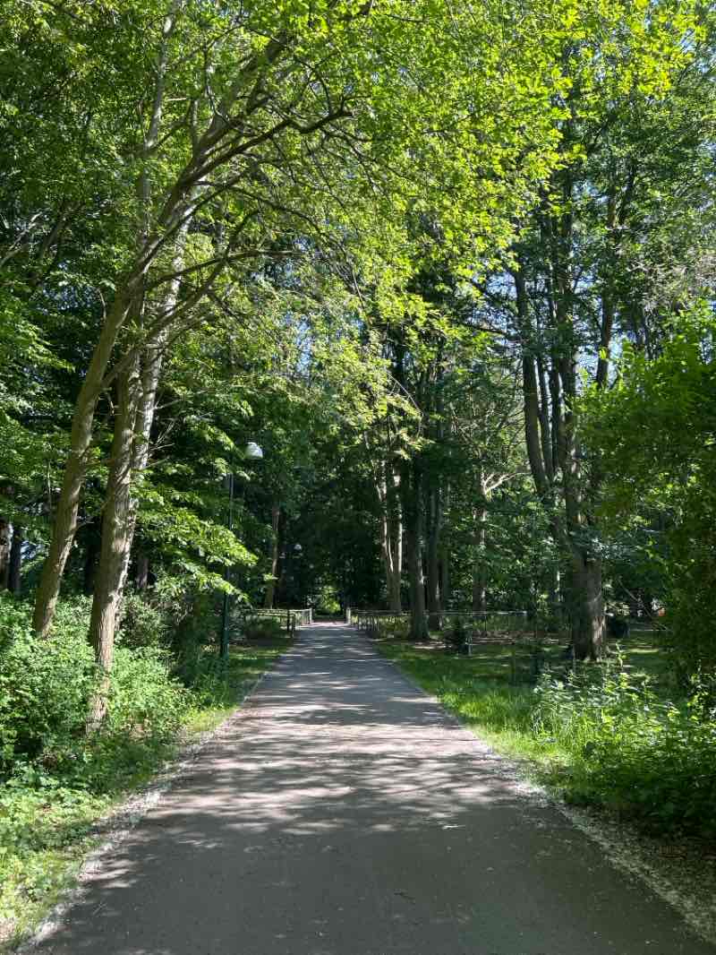 walking near me in Segeparken in summer