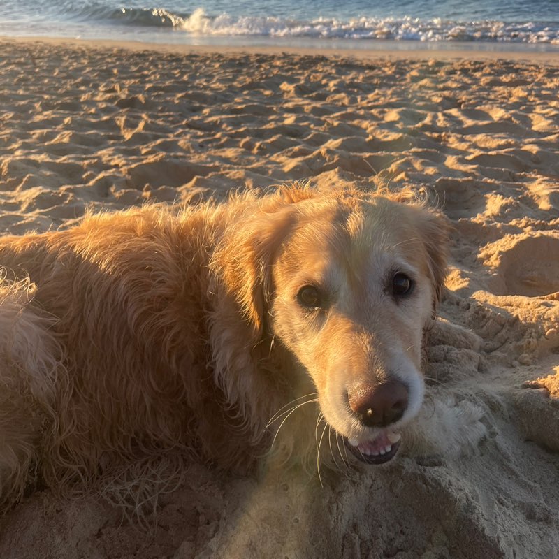 caitlin.jones28 profile