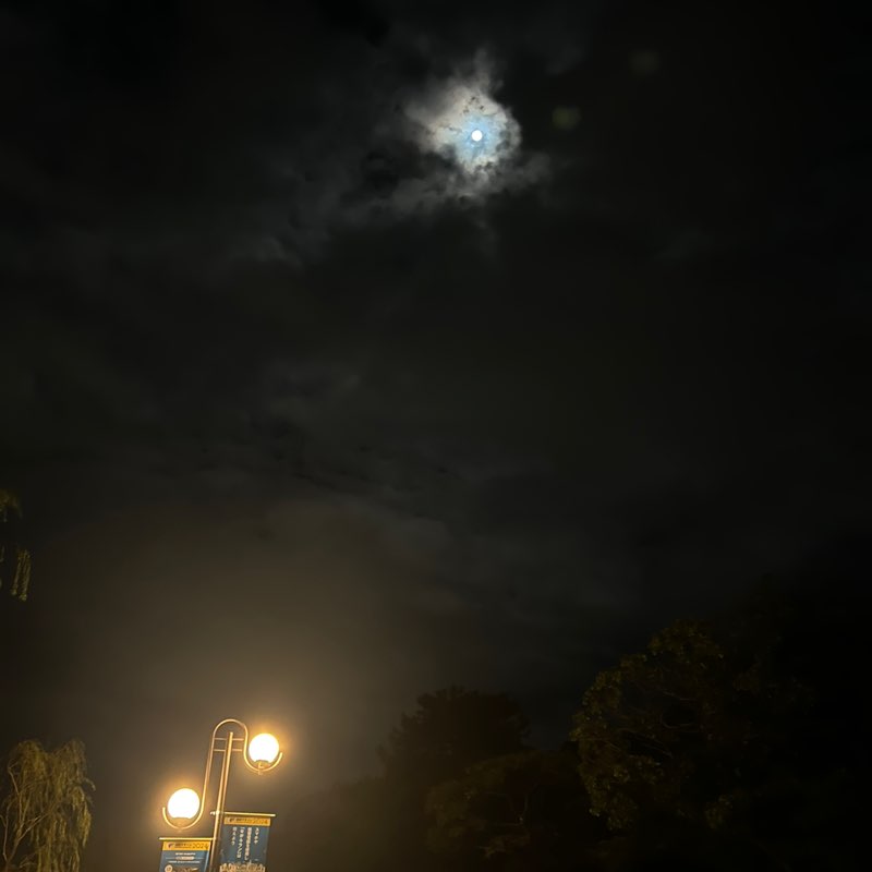 miyuto02161203 post 2