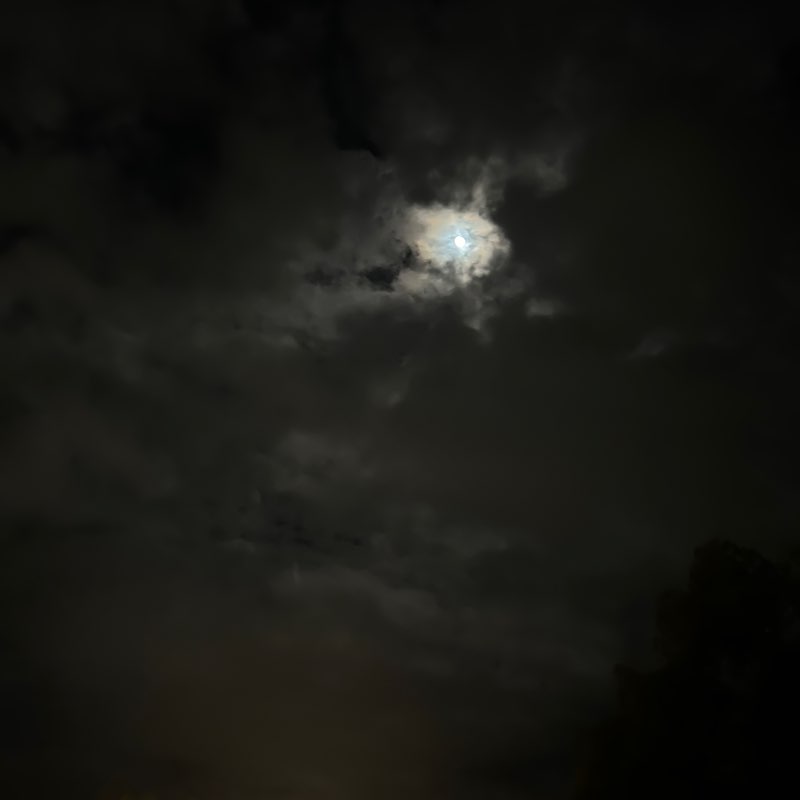 miyuto02161203 post 1