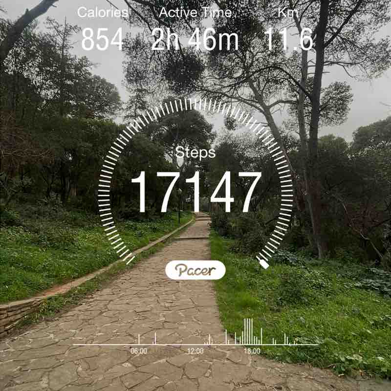 Daz pacer 🇩🇿 post 1