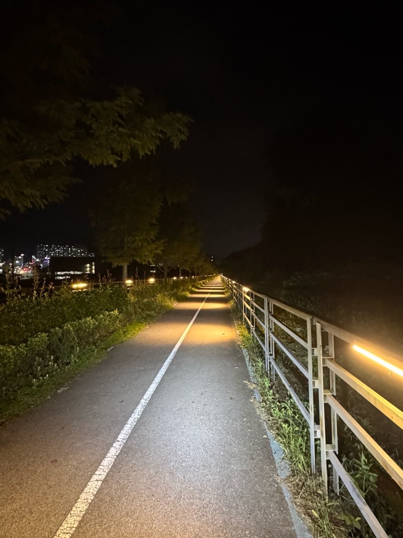 walking near me in 공원 in autumn