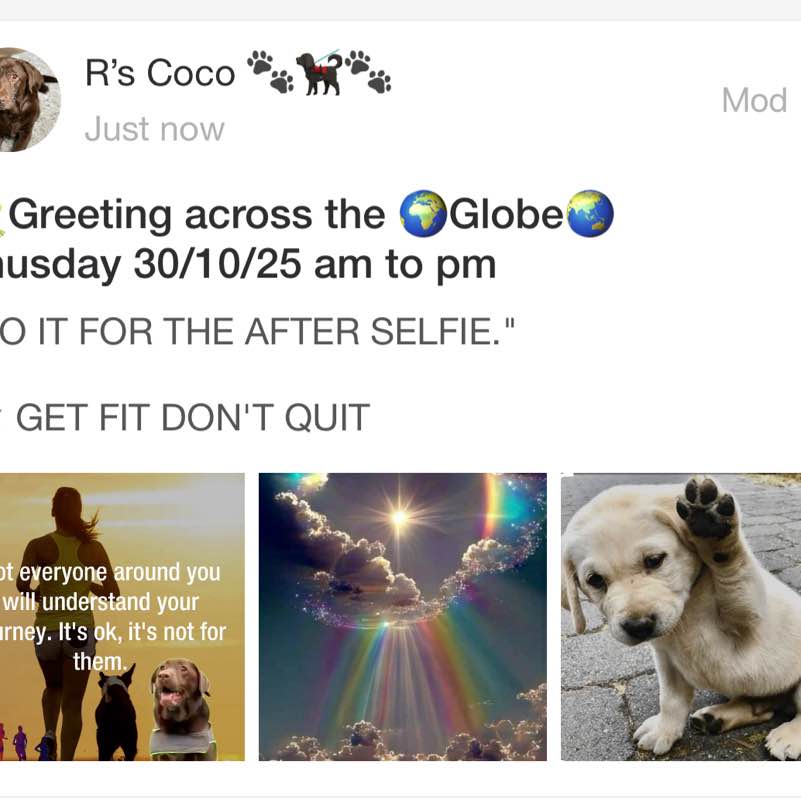 Movin’ Feet no time to stink R’s Coco 🐾🐕🦺🐾 post image