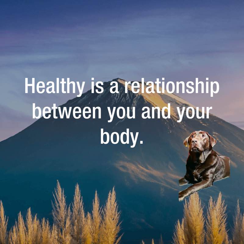 Movin’ Feet no time to stink R’s Coco 🐾🐕🦺🐾 post image