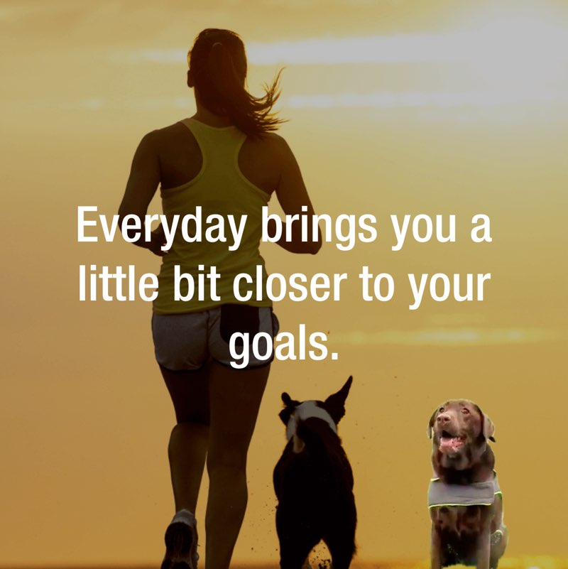 💯PACE NOT RACE💯 R’s Coco 🐾🐕‍🦺🐾 post image