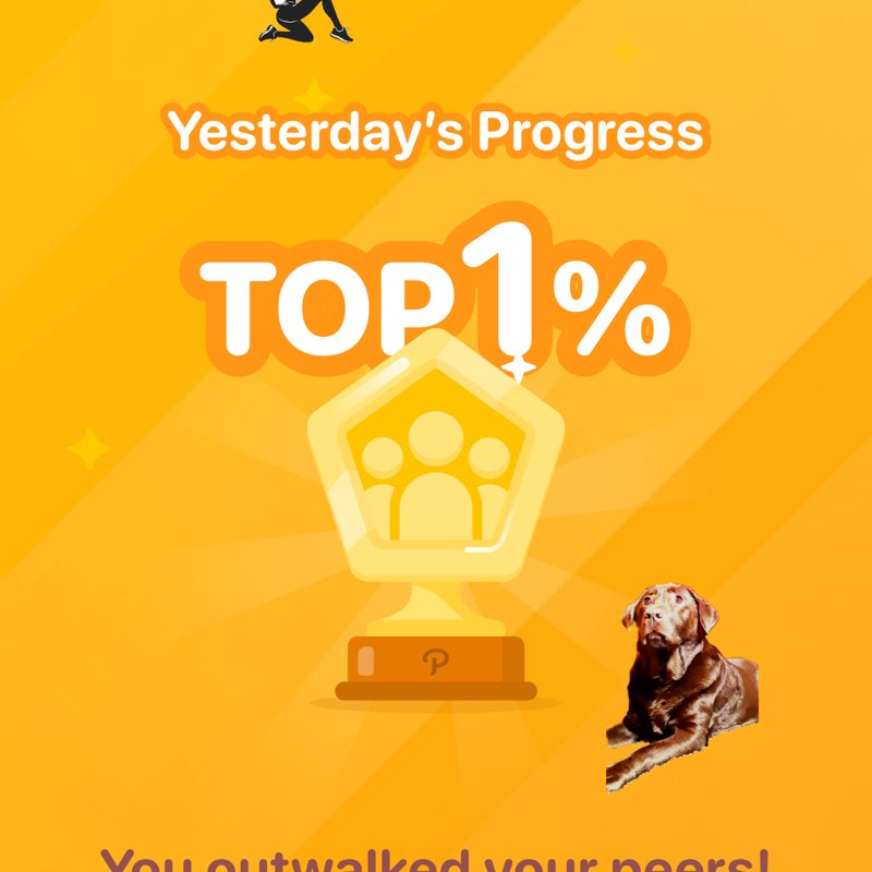 💯PACE NOT RACE💯 R’s Coco 🐾🐕‍🦺🐾 post image