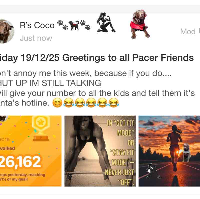 The Year Around Walker’s R’s Coco 🐾🐕‍🦺🐾 post image