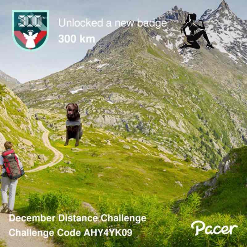 R’s (Coco)🐾🐾 R’s Coco 🐾🐕‍🦺🐾 post image