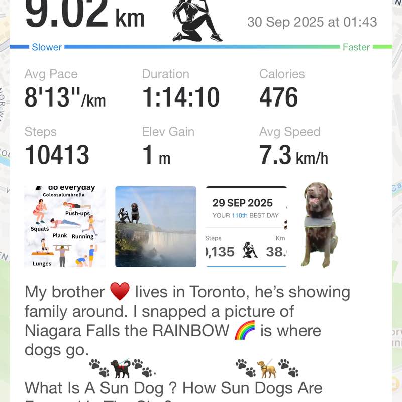 Cross Country Lovers Rβs Coco πΎπβπ¦ΊπΎ post image