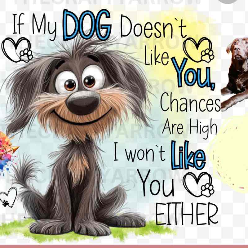 💯PACE NOT RACE💯 R’s Coco 🐾🐕‍🦺🐾 post image