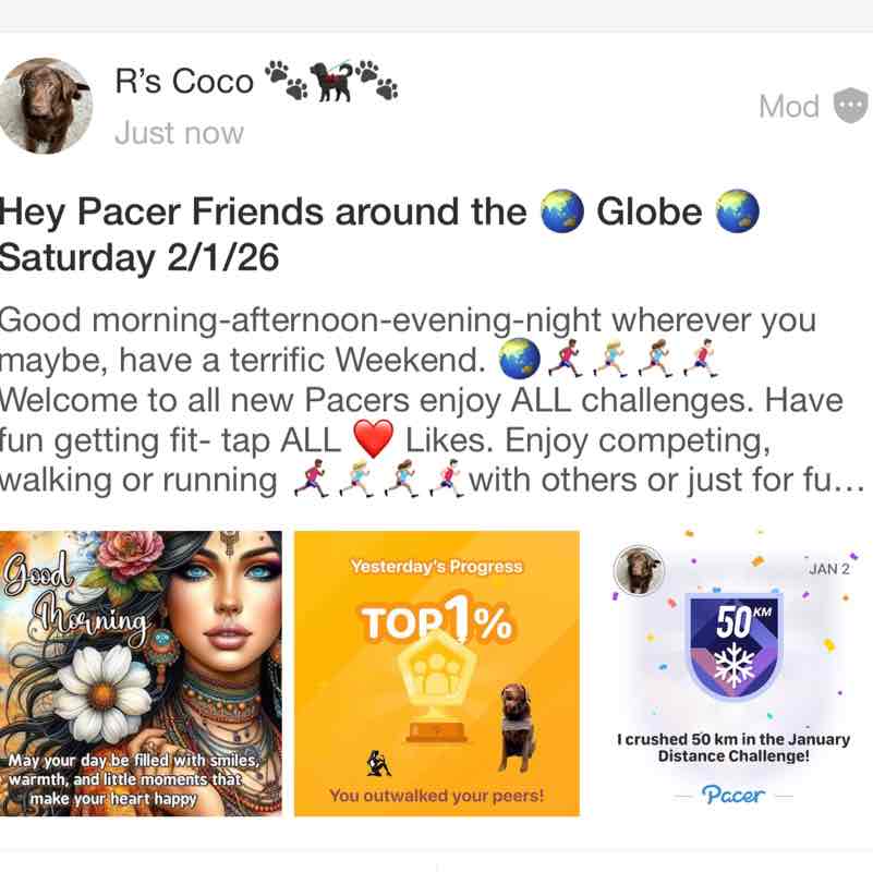 💯PACE NOT RACE💯 R’s Coco 🐾🐕‍🦺🐾 post image