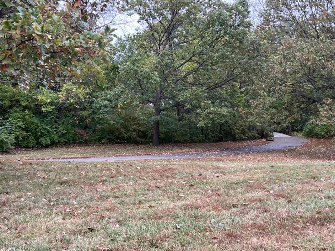 walking near me in Brittany Park in autumn