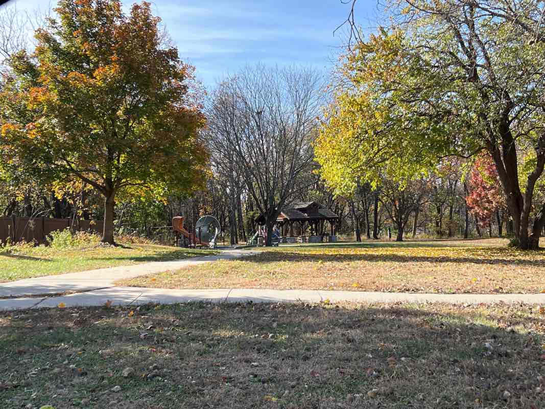 walking near me in Southdowns Park in autumn