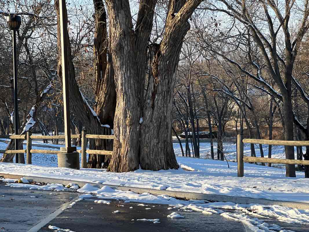 walking near me in Sar-Ko-Par Trails Park in winter