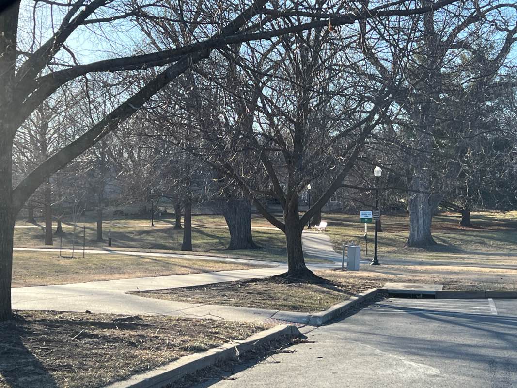 walking near me in Listowel Park in winter